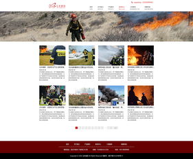 消防網頁設計 構建信息清晰、功能完善的在線平臺