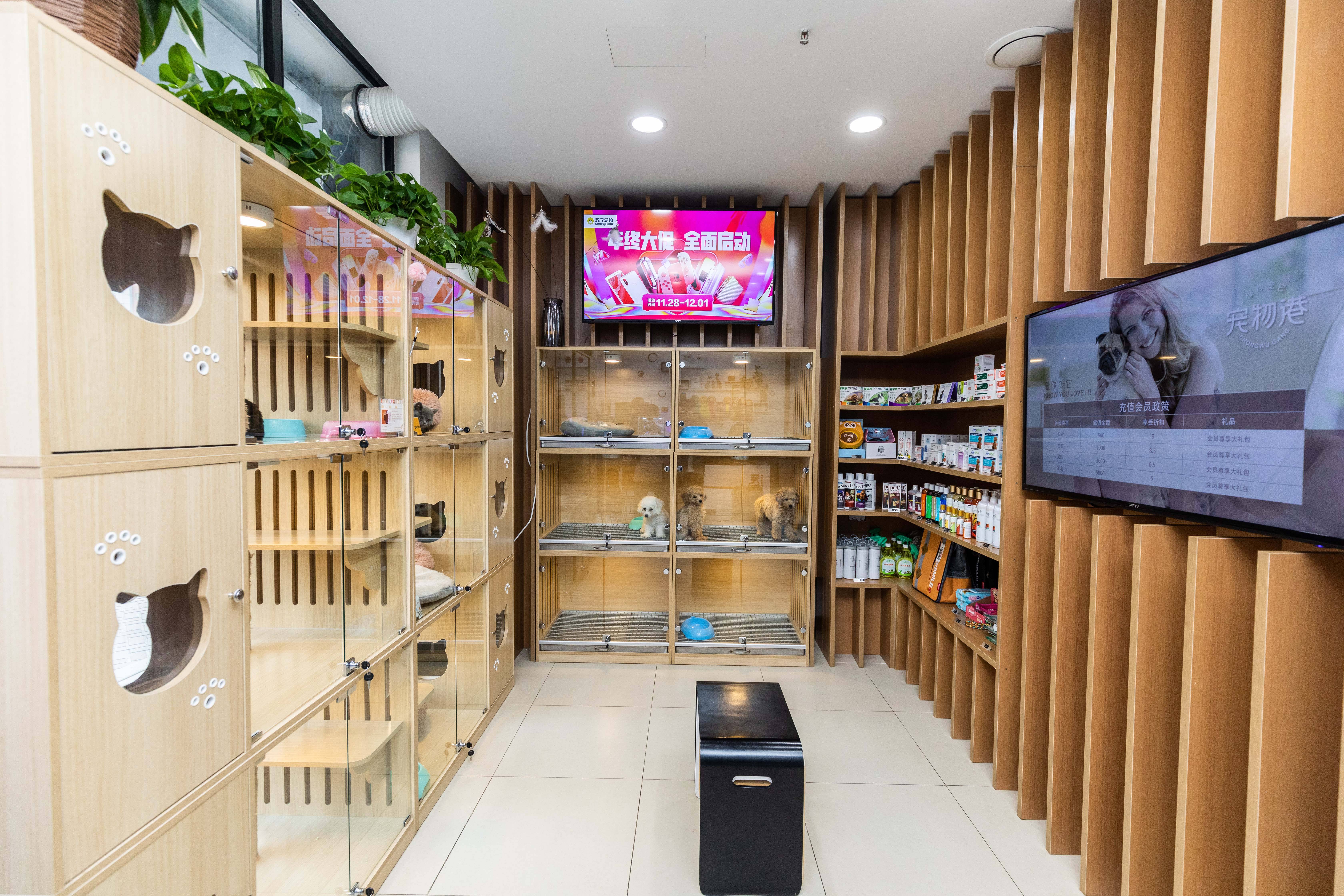 寵物店的服務(wù)怎么才算得上極致？